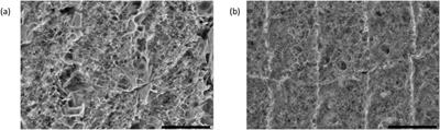 Laser-induced graphene gas sensors for environmental monitoring